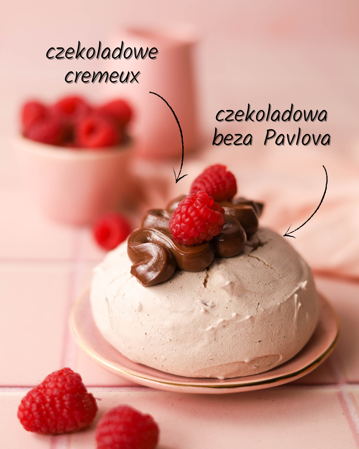 Pavlova Euforia - czekoladowa beza, czekoladowe cremeux i maliny